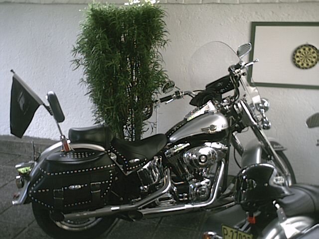 Harley Davidson 024